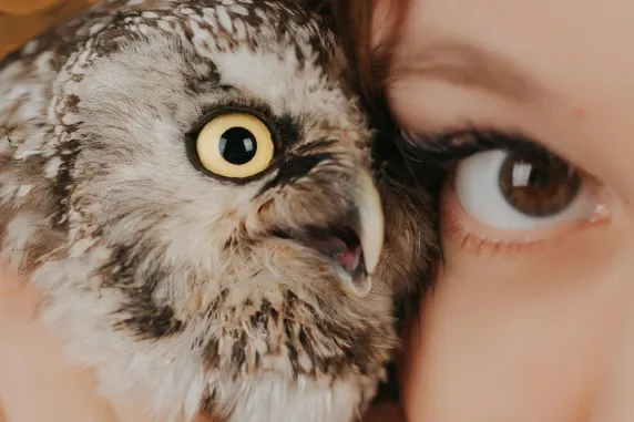 Casino AllStar Slots Assistance